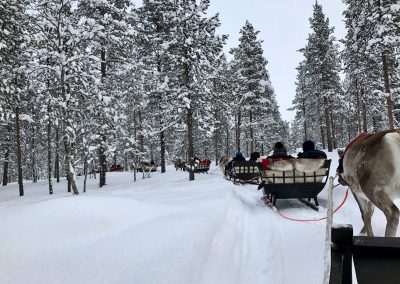 Experience Reindeer safari while at Jávri Lodge.